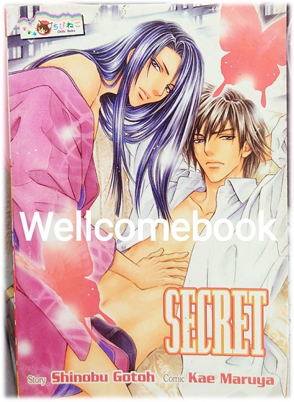 Secret เล่มเดียวจบ ~Maruya Kae~