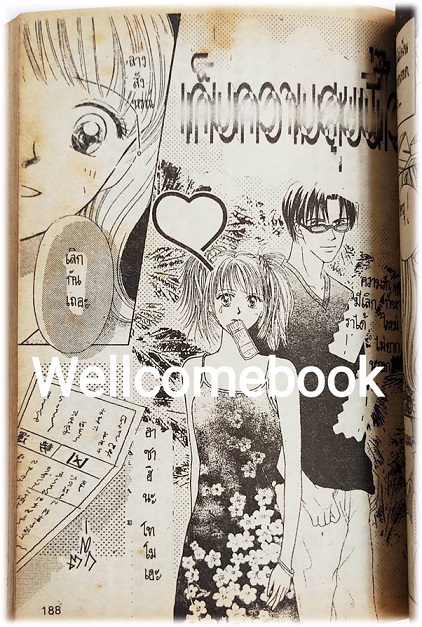 ผีแม่สื่อเพื่อนซี้ เล่มเดียวจบ