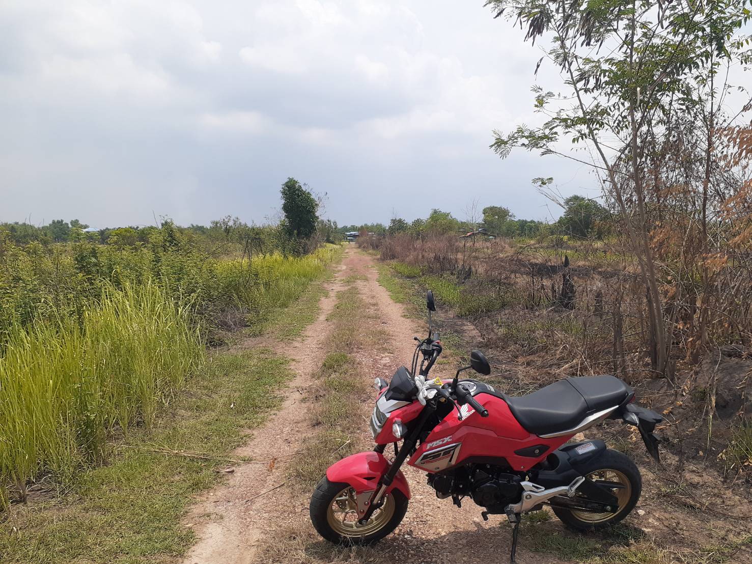 ขาย-ที่ดินจัดสรร จำนวน100ตรว. อยู่หลังอยู่หลังมหาลัยประสานมิตร ต.ศีรษะกระบือ อ.องครักษ์ จ.นครนายก