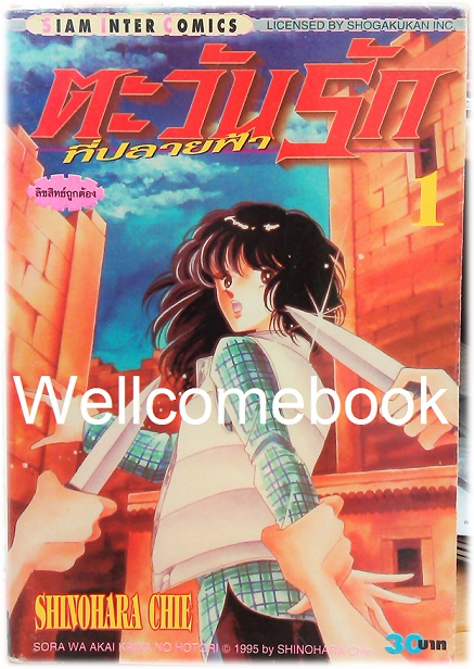 รวมชุด "ตะวันรักที่ปลายฟ้า" 28 เล่มจบ ~Shinohara Chie~