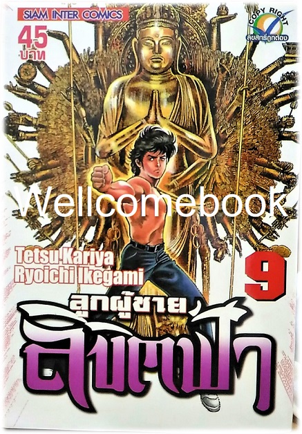 รวมชุด "ลูกผู้ชายลิขิตฟ้า" 10 เล่มจบ ~Ikegami Ryoichi~