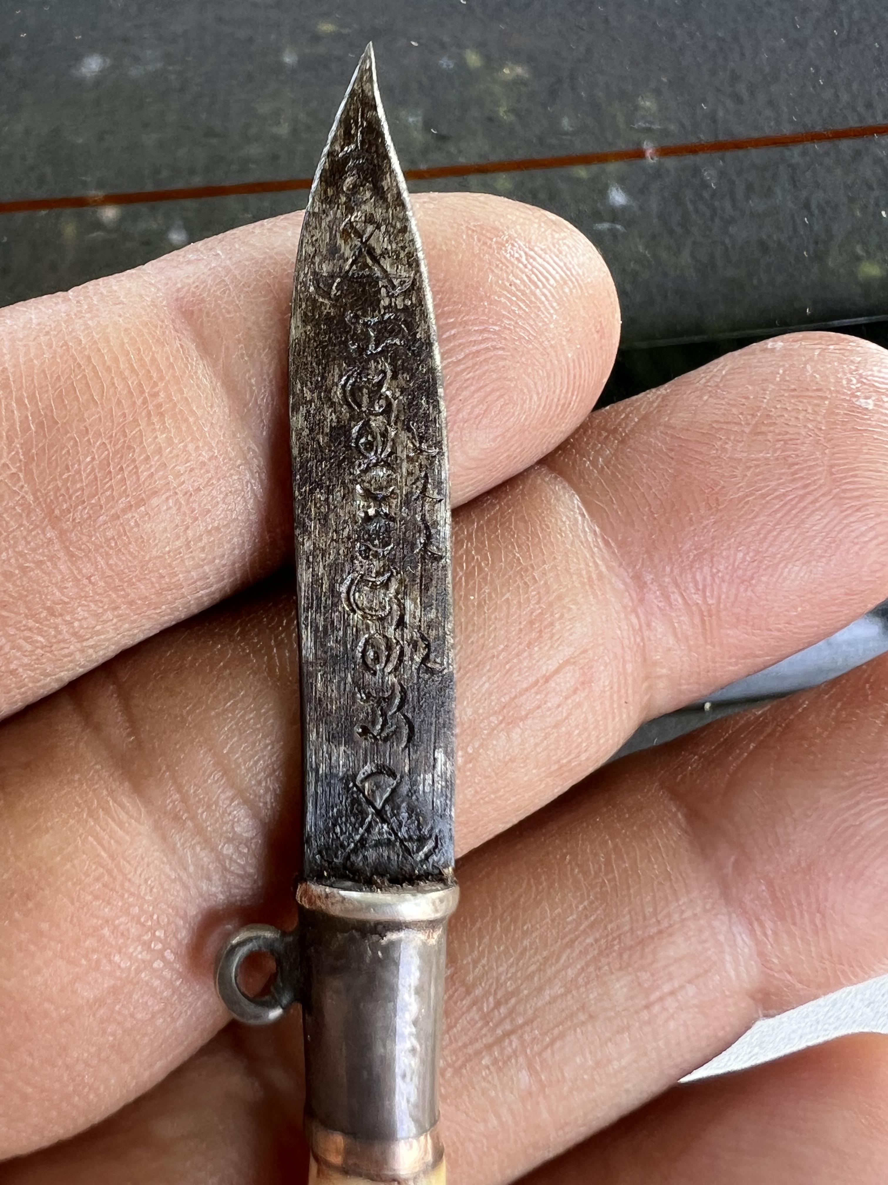 เสือแกะ