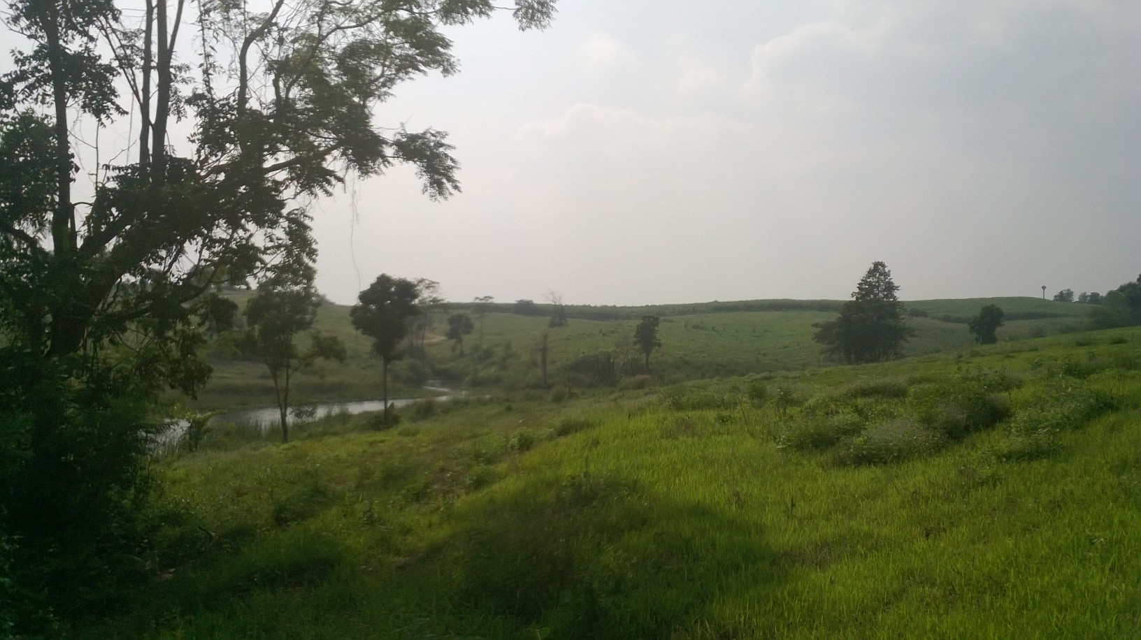 ที่ดินเปล่า230ไร่ แบ่งขายเป็นแปลงต.วังกะทะ(หมูสี )ติดวังน้ำเขียว นครราชสีมา