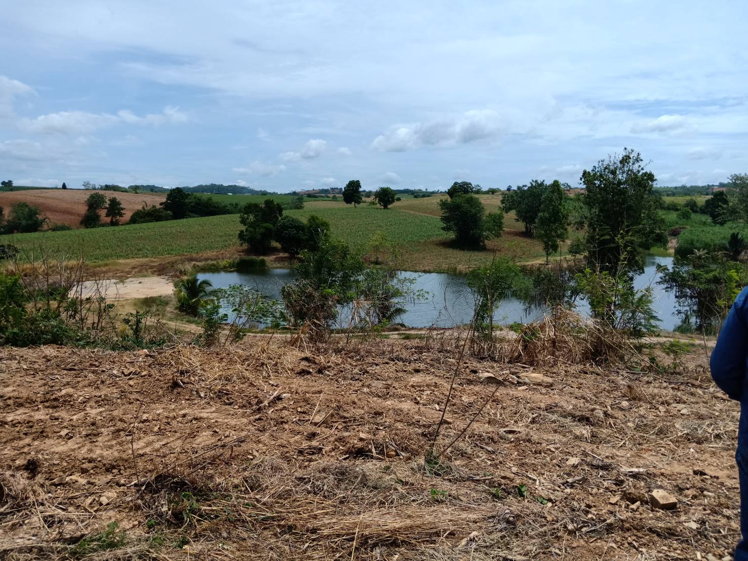 ขาย-ที่ดินเปล่า หมูสี ปากช่อง เขาใหญ่