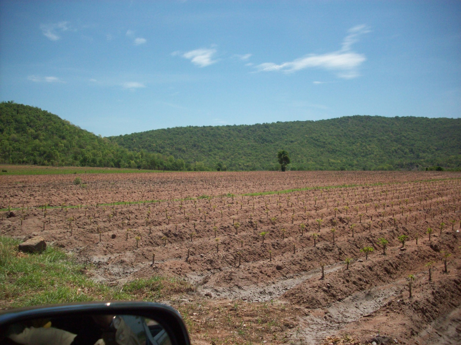 ขาย - ที่ดิน 400 ไร่ พัฒนานิคม ลพบุรี (แปลงที่1)