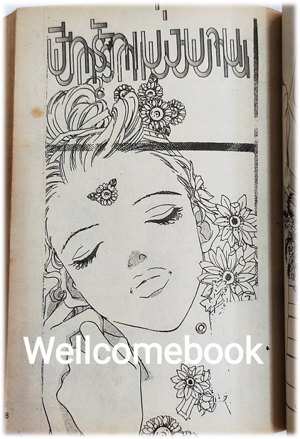 ผีแม่สื่อเพื่อนซี้ เล่มเดียวจบ