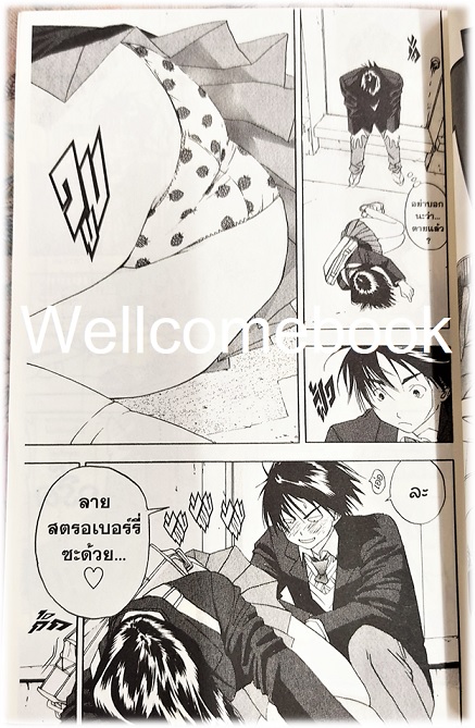 Xรวมชุด "Ichigo อิจิโกะ 100% 19 เล่มจบ + Short Stories ตอนพิเศษ เล่มเดียวจบ" ~Mizuki Kawashita~