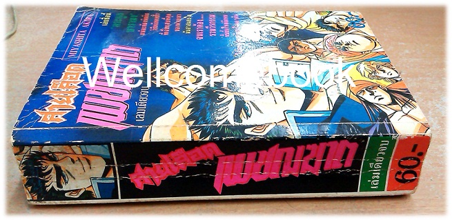 สายเลือดเพชรฆาต เล่มเดียวจบ ~Miyachita Akira~