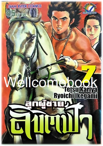 รวมชุด "ลูกผู้ชายลิขิตฟ้า" 10 เล่มจบ ~Ikegami Ryoichi~