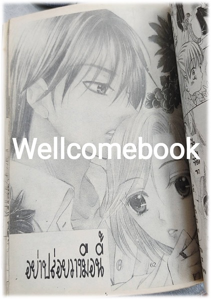 รักเดียวที่ปรารถนา เล่มเดียวจบ