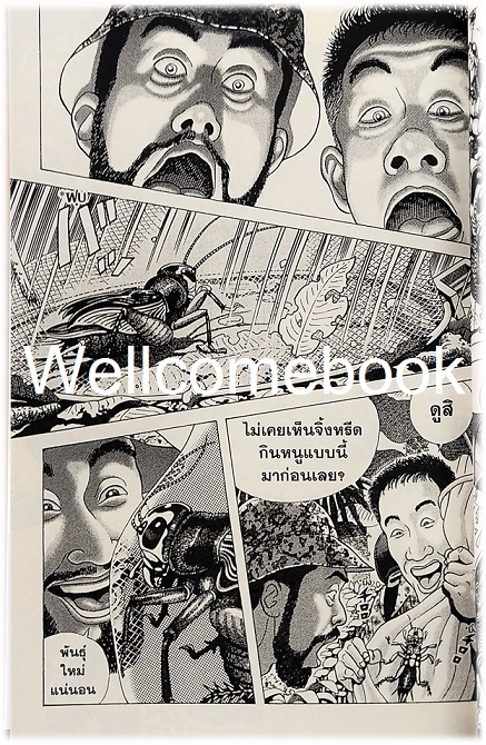 Xรวมชุด "Boxset Happy People แฮปปี้พีเพิล 10 เล่มจบ + ภาคชิน 3 เล่มจบ+ภาคมังกี้พีเพิล 5 เล่มจบ" ~Shaku Eishou~