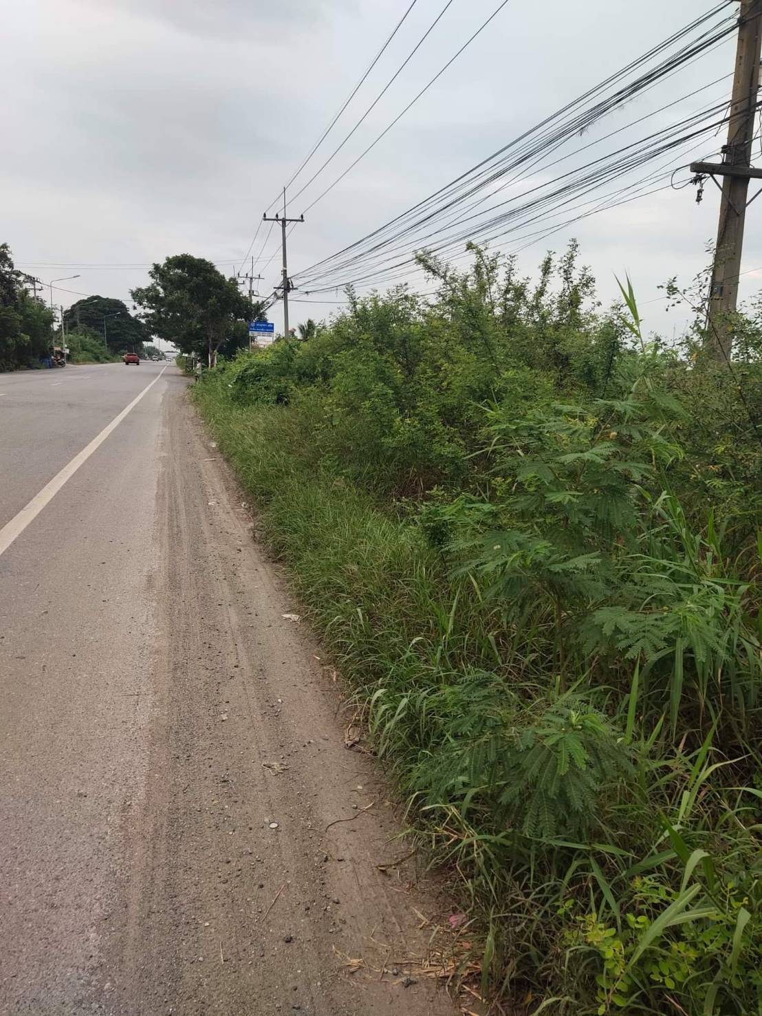 ขาย-ที่ดินเปล่าสวย พื้นที่24ไร่ หมู่6 ถนนคลอง8 ต.ลำลูกา อ.ลำลูก จ.ปทุมธานีกา