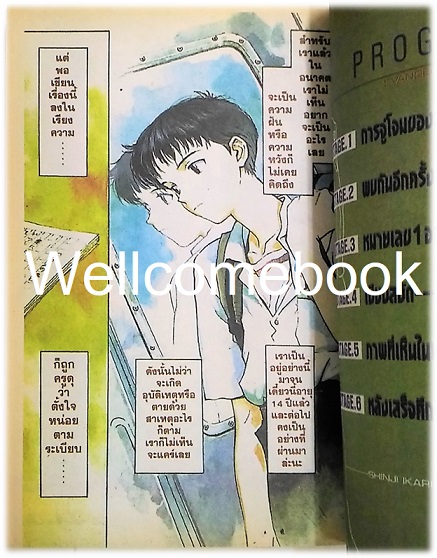 รวมชุด "EVANGELION เอวานเกเลี่ยน" 11 เล่ม (ขาดเล่ม 12-14 จบ) ~Sadamoto Yoshiyuki~
