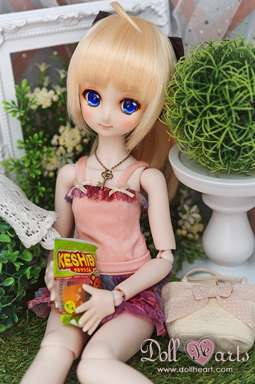 [SALE -50%] MDD Begonia