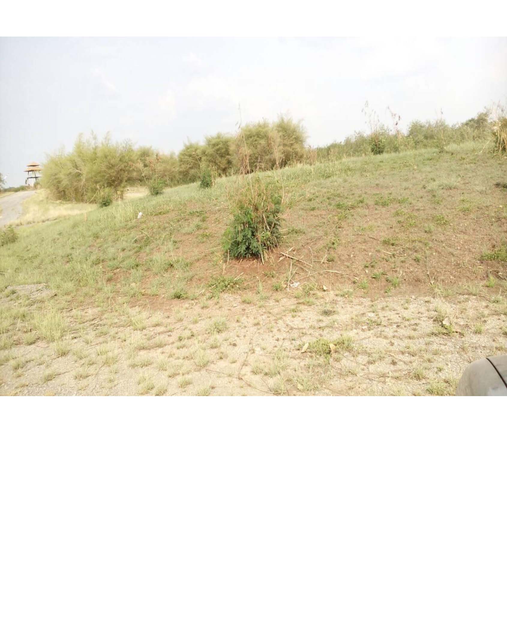 ขาย-ที่ดินเปล่า จำนวน1000ไร่ รีสอร์ทภูฟ้าใส อำเภอวังม่วง จังหวัดสระบุรี