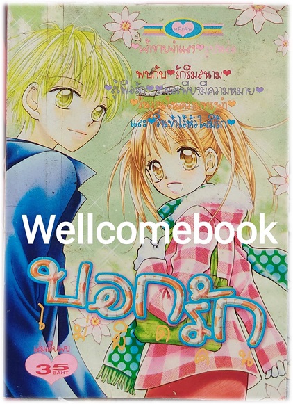 บอกรักไม่ผิดคน เล่มเดียวจบ