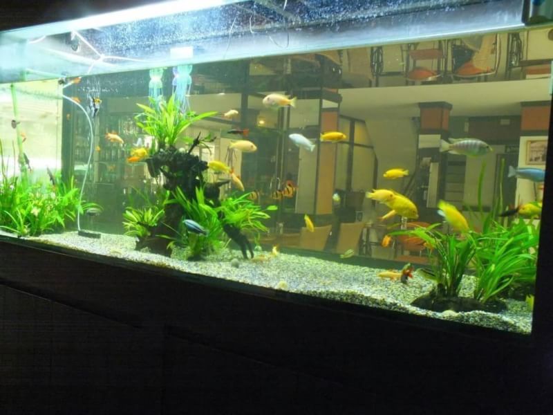 ขาย-โรงแรม ระดับ4ดาว ใกล้ทะเล ป่าตอง ภูเก็ต