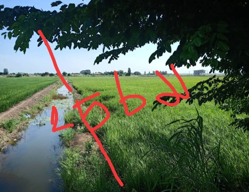 ขาย-ที่ดินเปล่า16ไร่ ต.เสาธงเก่า อ.บางปะหัน จ.อยุธยา