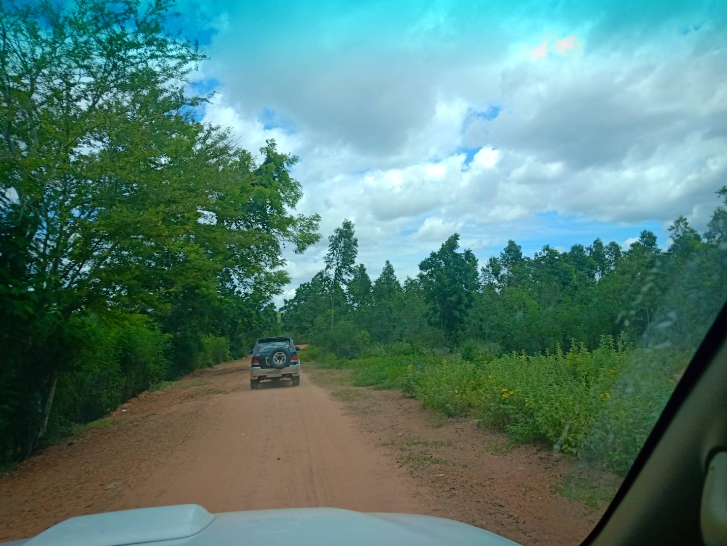 ขาย-ที่ดินเปล่ จำนวน888ไร่ ต.ตะขบ อ.ปักธงชัย จ.นครราชสีมา