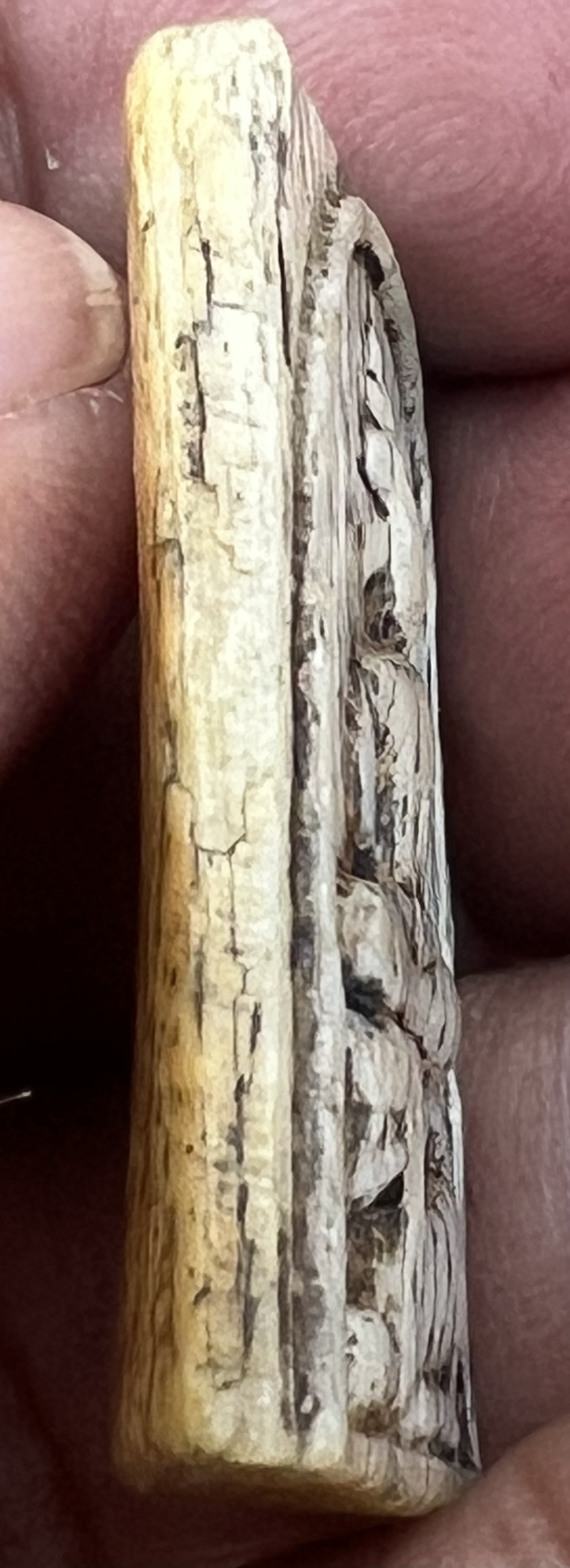 สมเด็จนั่งสิงห์ ง.แกะ เก่าๆๆๆๆๆๆ