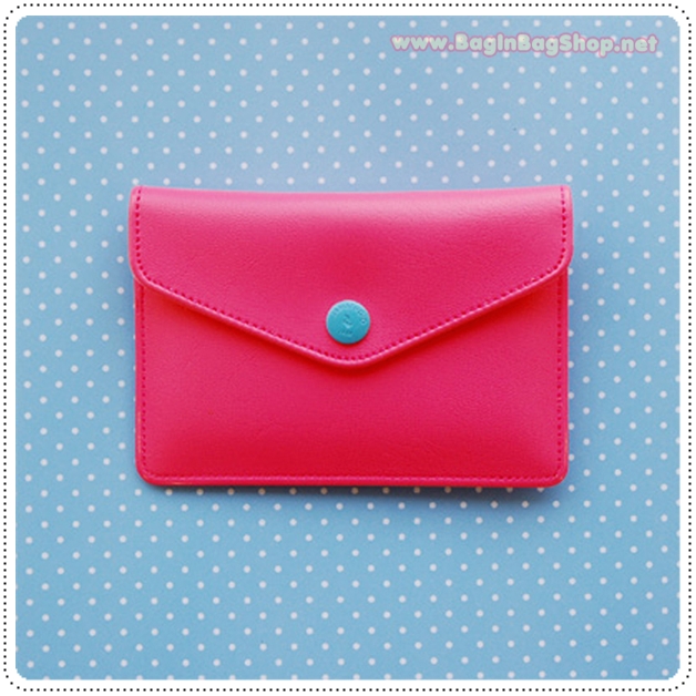 Rainbow Card Case