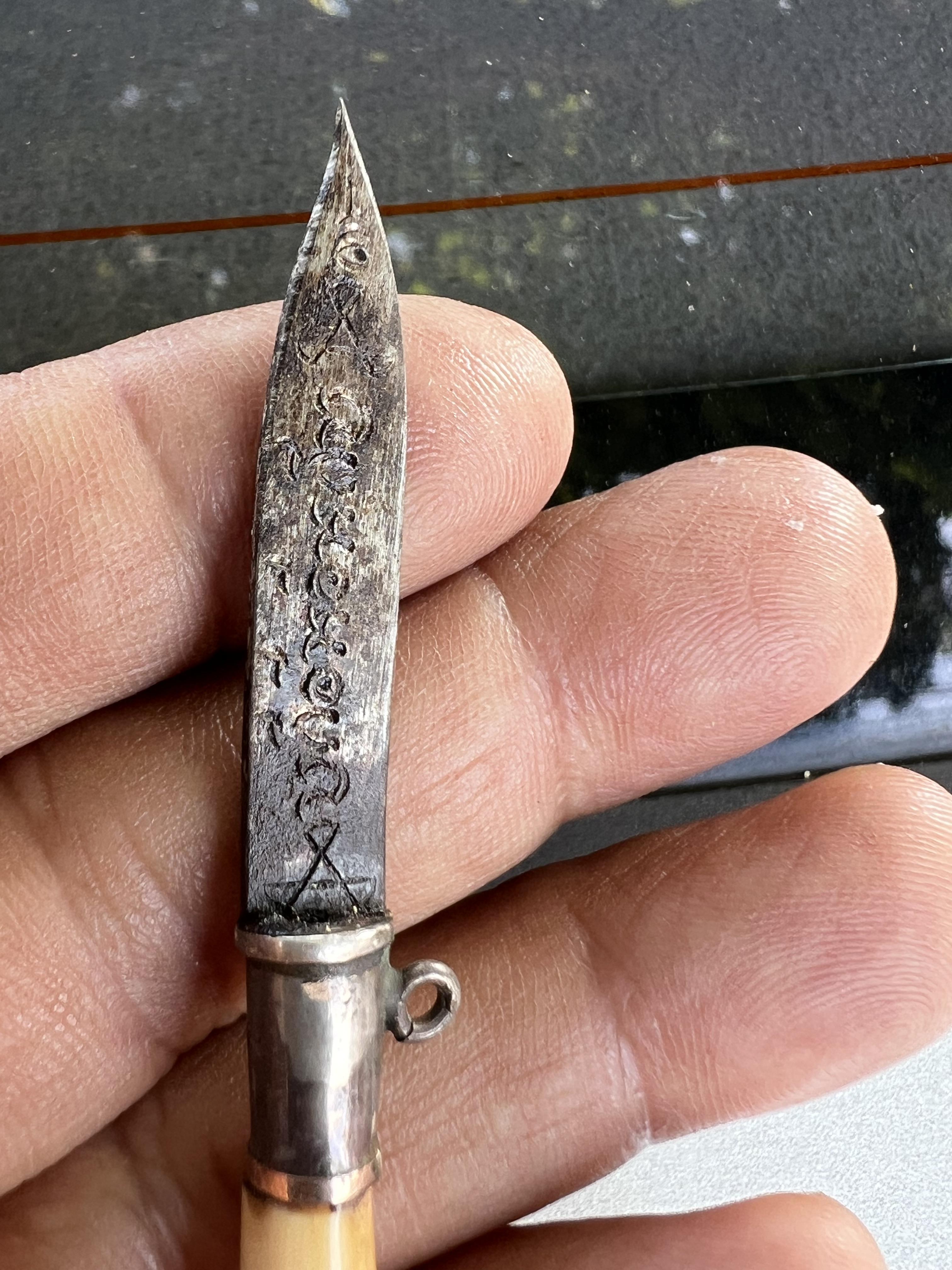 เสือแกะ