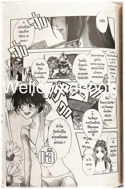 Kรวมชุด "สับขั้วมาลุ้นรัก For You In Full Blossoms" 23 เล่มจบ (ขาดเล่ม 18) ~Nakajo Hisaya~