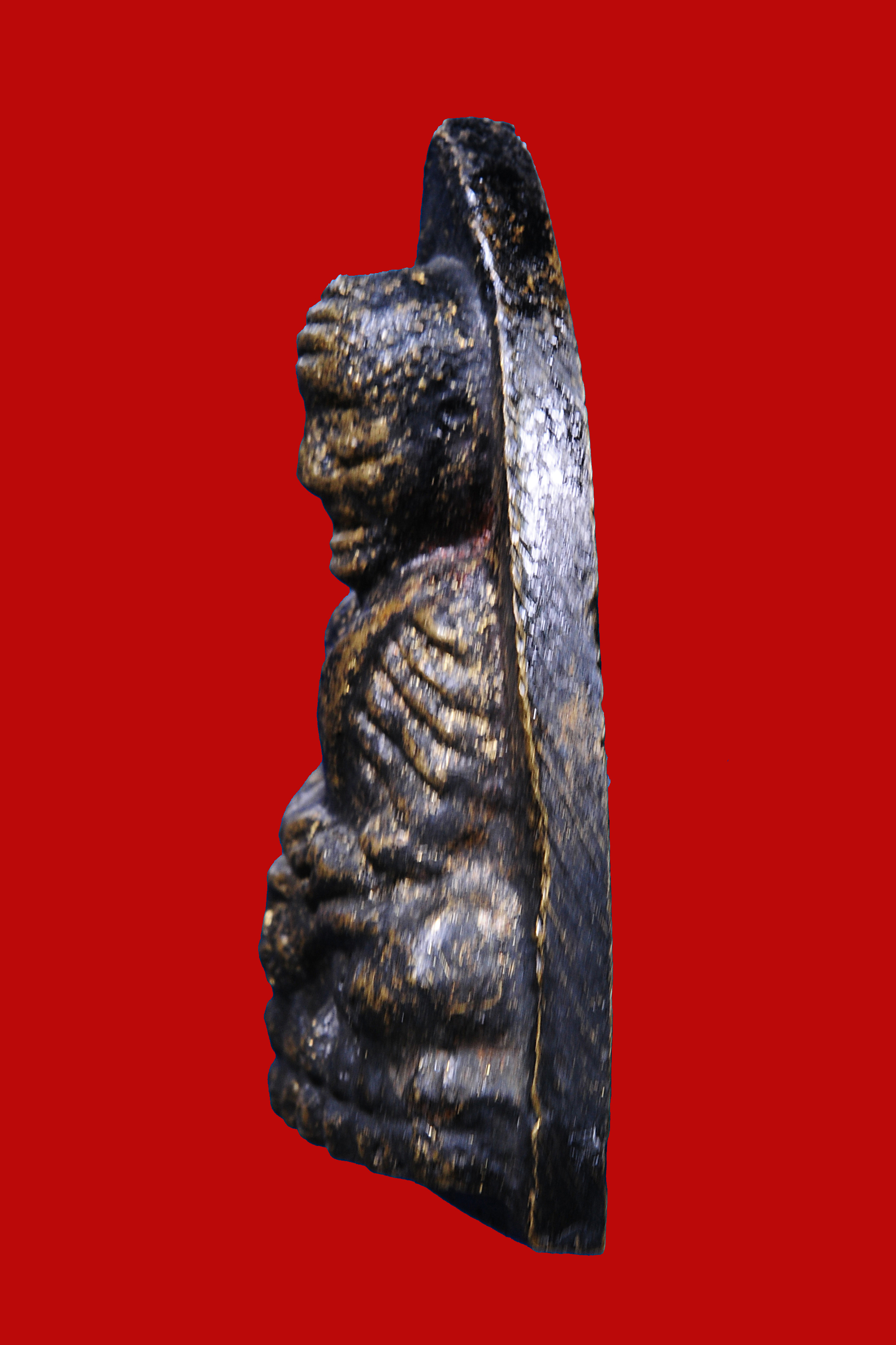 1.หลวงปู่ทวดหลังเตารีด วัดไทร นครสวรรค์ ปี06