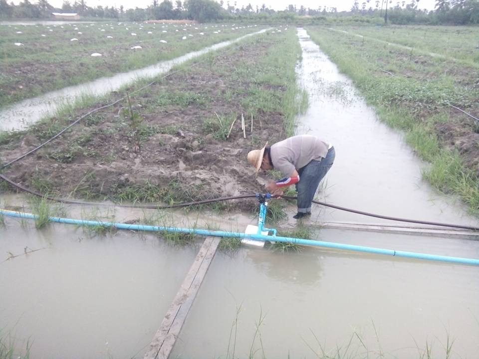 งานออกแบบติดตั้งระบบควบคุมการรดน้ำ