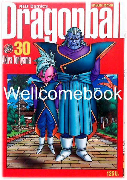 Dragon Ball ดราก้อนบอล BIG BOOK เล่ม 30 ~Toriyama Akira~
