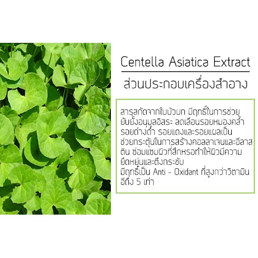 เจลใบบัวบก Cica Gel Calming & Moisturizing 300ml