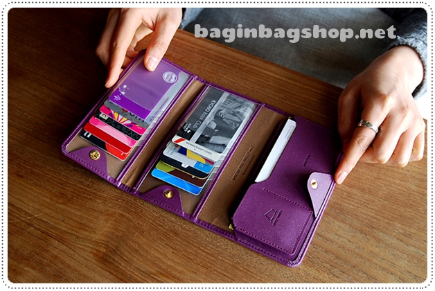 Episode Pass Wallet v.2