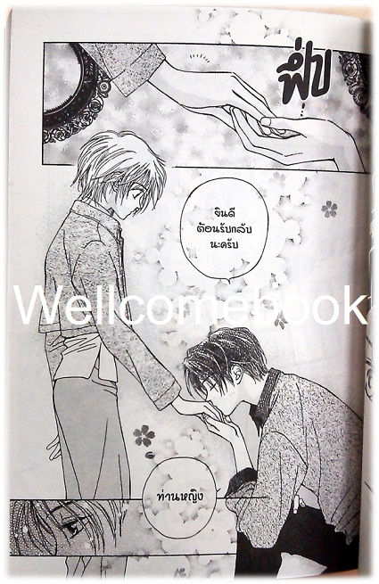 รวมชุด "คุณหนูสุดแก่น หนุ่มรับใช้สุดเซี้ยว SPECIAL EDITION" 3 เล่มจบ ~Hino Matsuri~