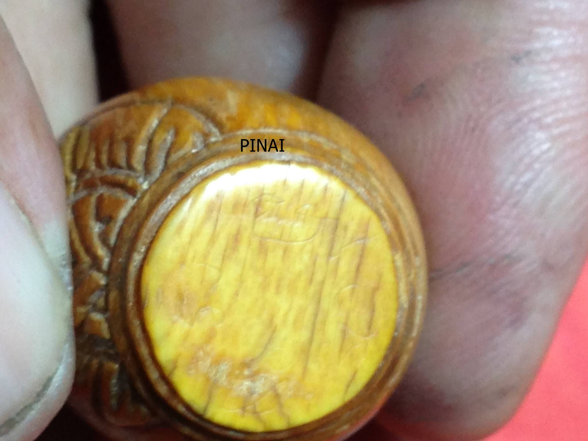 ม้าหมากรุก จารเก่าๆ