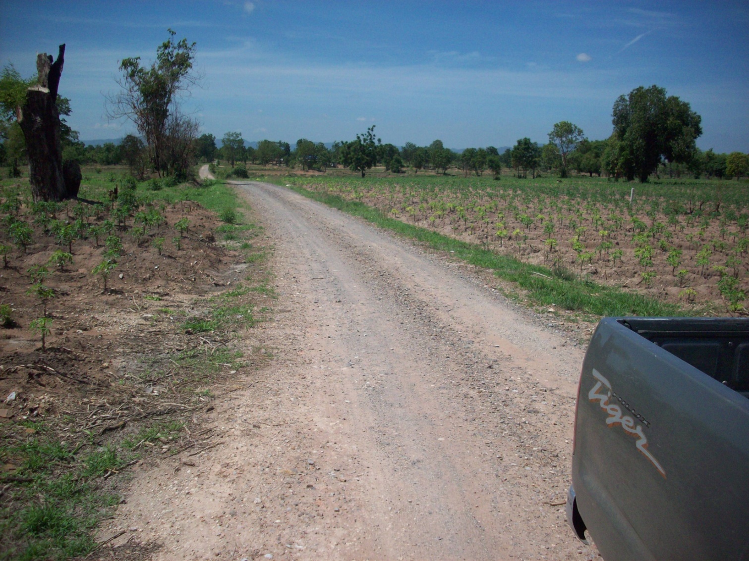 ขาย - ที่ดิน 400 ไร่ พัฒนานิคม ลพบุรี (แปลงที่1)