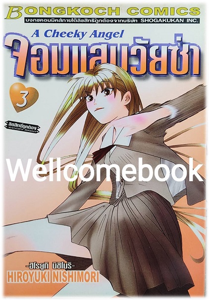 จอมแสบวัยซ่า เล่ม 3 ~HIROYUKI NICHIMORI~