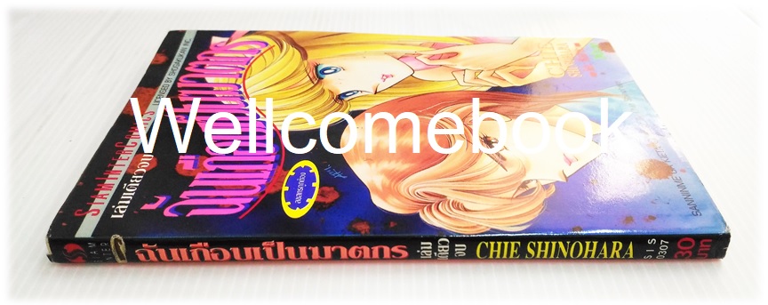 ฉันเกือบเป็นฆาตกร เล่มเดียวจบ ~Shinohara Chie~