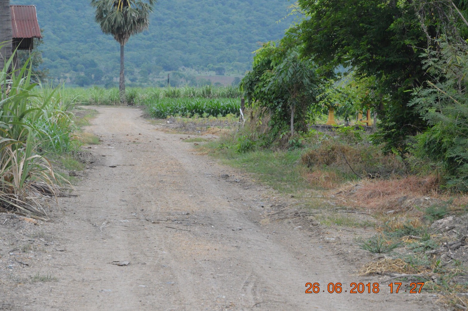 ที่ดินเปล่า จำนวน4ไร่1งาน26ตรว. ต.เขากระลา อ.พยุหะคีรี จ.นครสวรรค์