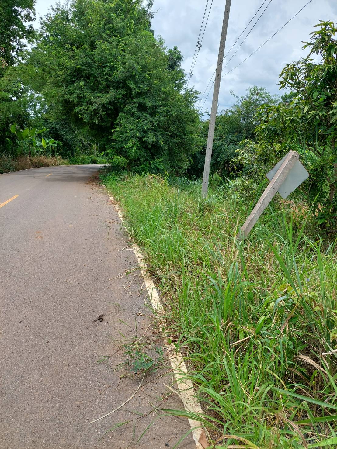 ขาย-ที่ดินเปล่าสวย 10ไร่ 2งาน 96ตรว. ส.ป.ก.4-01 ต.อุดมทรัพย์ อ.วังน้ำเขียว จ.นครราชสีมา