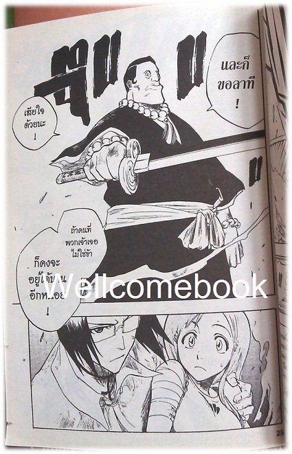 BLEACH เทพมรณะ เล่ม11 ~Tite Kubo~