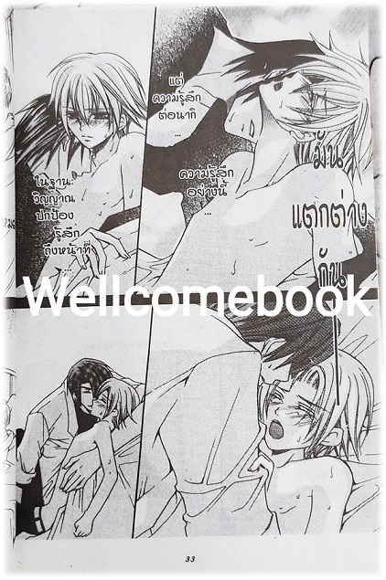 บอดี้การ์ดรักพิทักษ์ใจ เล่มเดียวจบ ~Ryo Takagi~