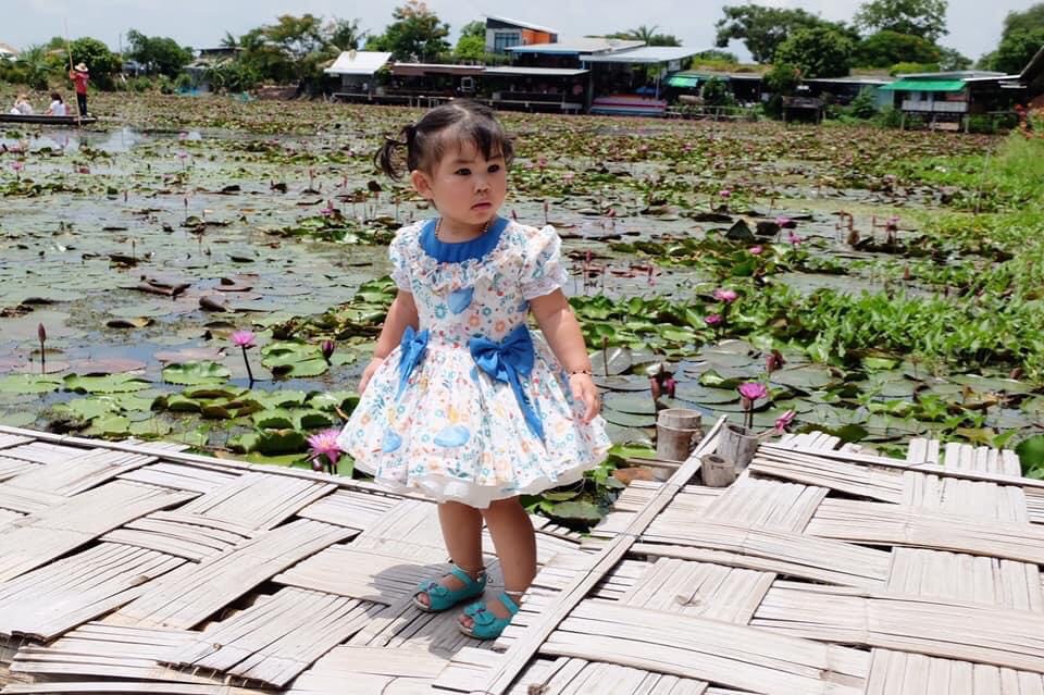 ผ้าอเมริกา SKU427