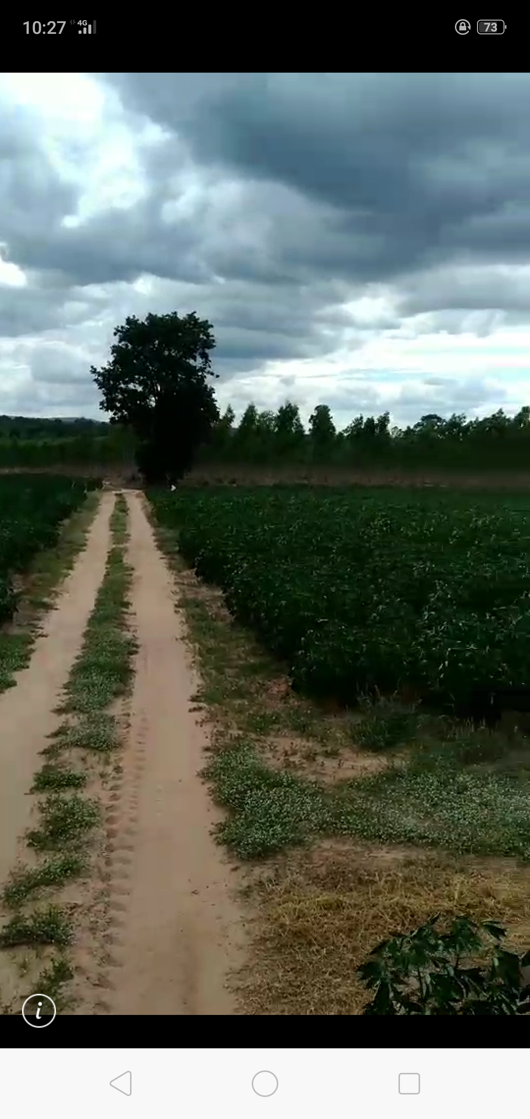 ขาย-ที่ดินเปล่ จำนวน888ไร่ ต.ตะขบ อ.ปักธงชัย จ.นครราชสีมา