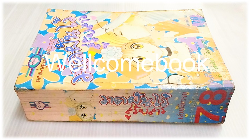 วาดฝันไว้สู่วัยสาว เล่มเดียวจบ ~Emiko Sugi~