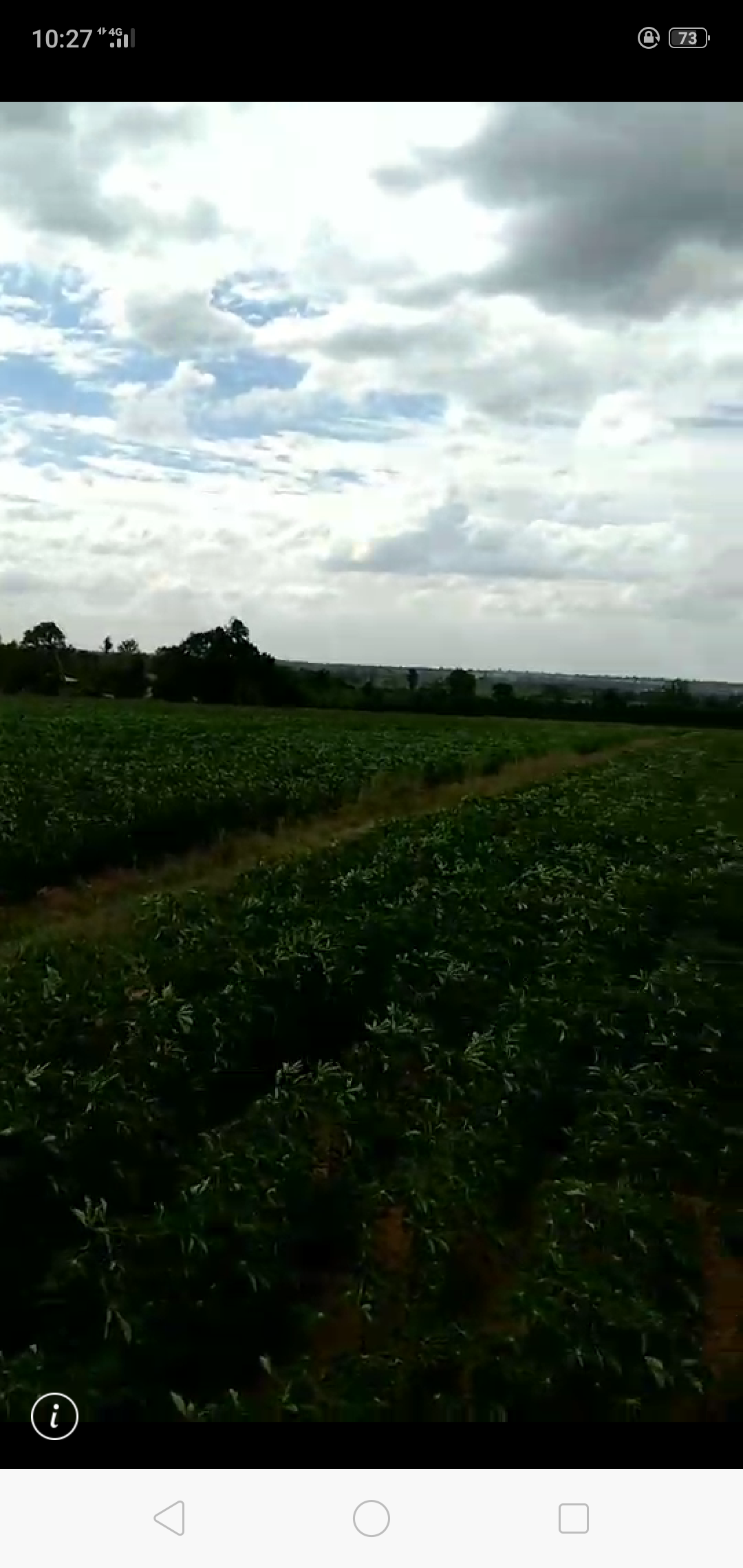 ขาย-ที่ดินเปล่ จำนวน888ไร่ ต.ตะขบ อ.ปักธงชัย จ.นครราชสีมา