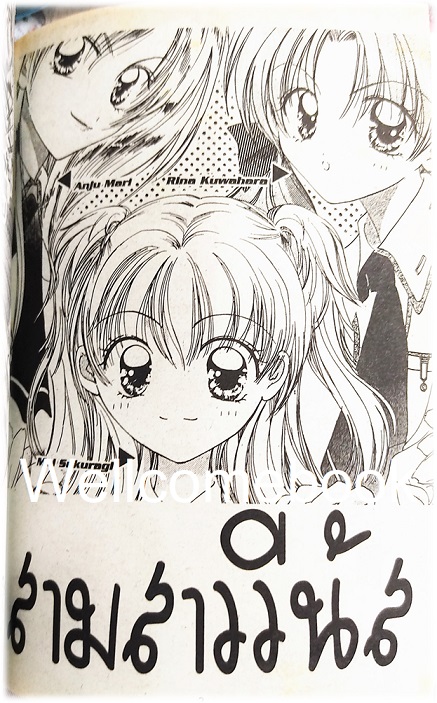 ปลากัดหางกุด เล่มเดียวจบ