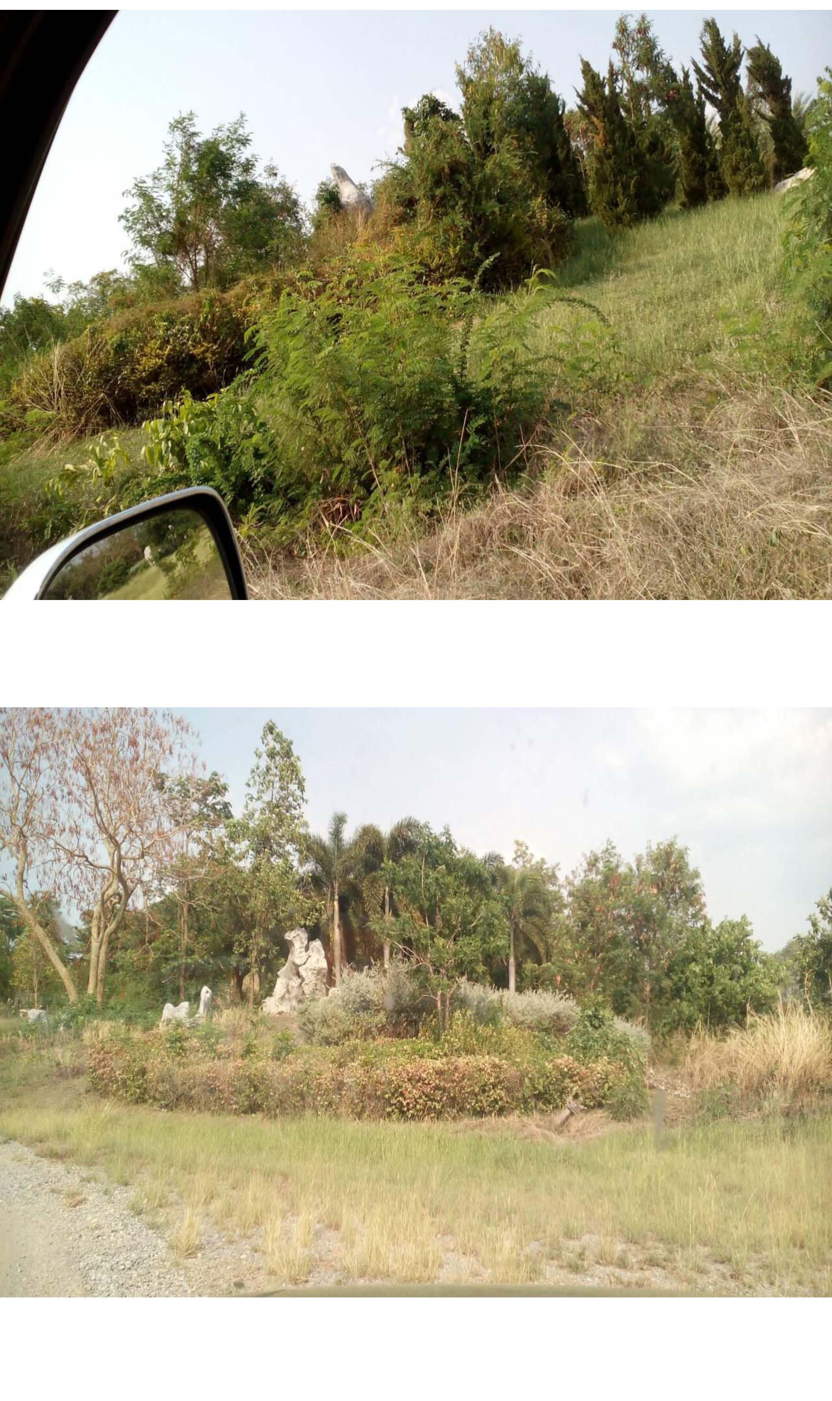 ขาย-ที่ดินเปล่า จำนวน1000ไร่ รีสอร์ทภูฟ้าใส อำเภอวังม่วง จังหวัดสระบุรี