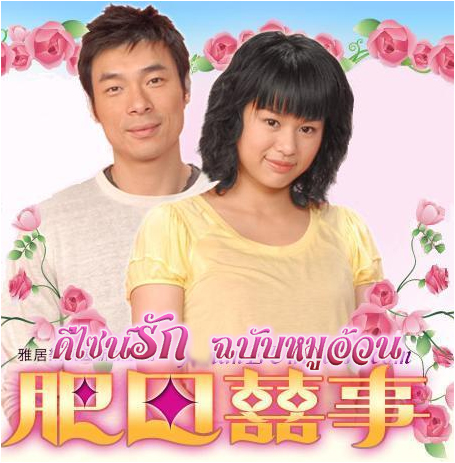 รักสุดหัวใจของยัยตัวอ้วน (ดีไซส์รักฉบับหมูอ้วน) 4 แผ่น หูเหิงเอ๋อ