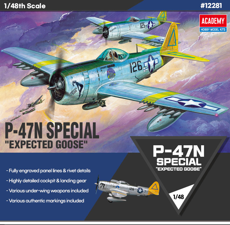 AC12281 (2206) P-47N SPECIAL EXPECTED GOOSE 1/48