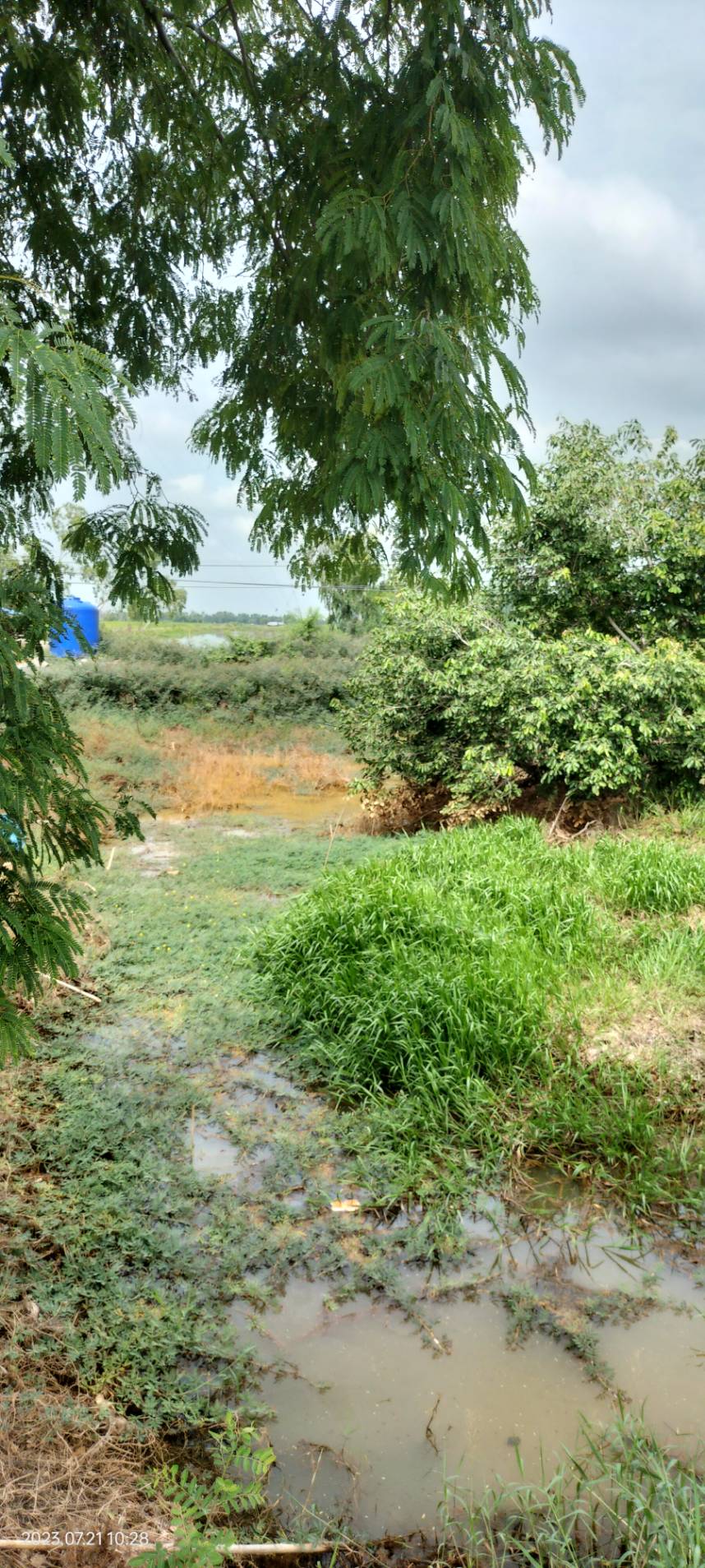 ขายที่ดินเปล่า 38ไร่ 3งาน68ตารางวา ต.ดอนยอ อ.เมืองนครนายก จ.นครนายก